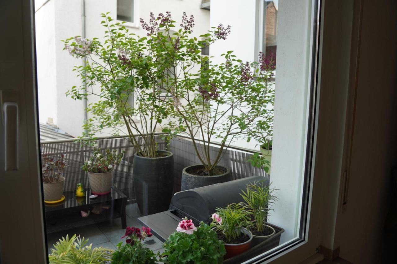Bright, Spacious Apartment With A Lovely Terrace In The Heart Of Aachen Exterior photo